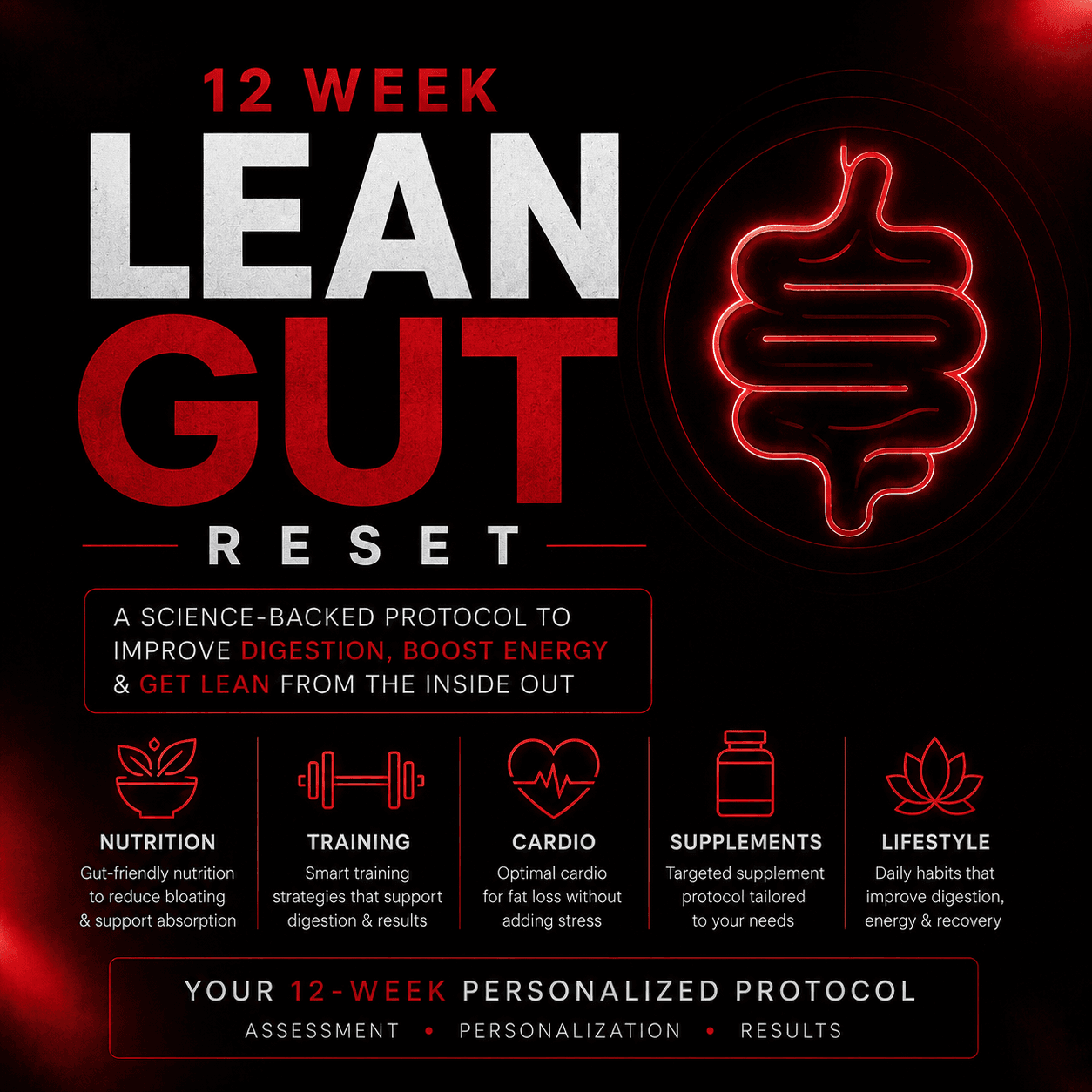 12 Week Lean Gut Protocol